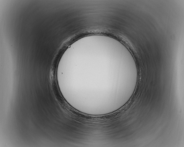 X0000116380636200912020946