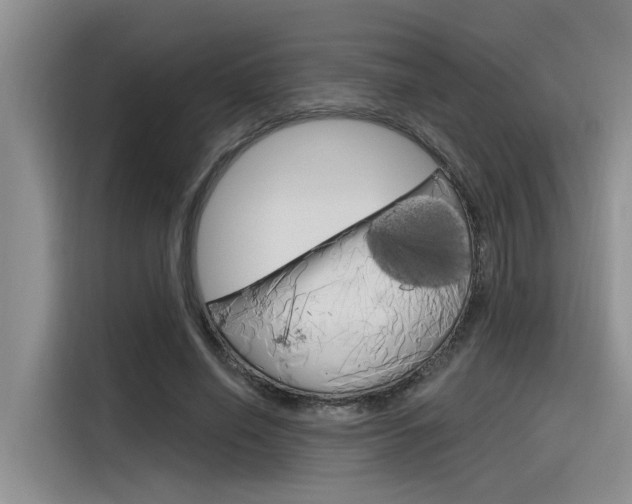 X0000116380638200912020946