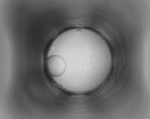X0000116380639200912020946