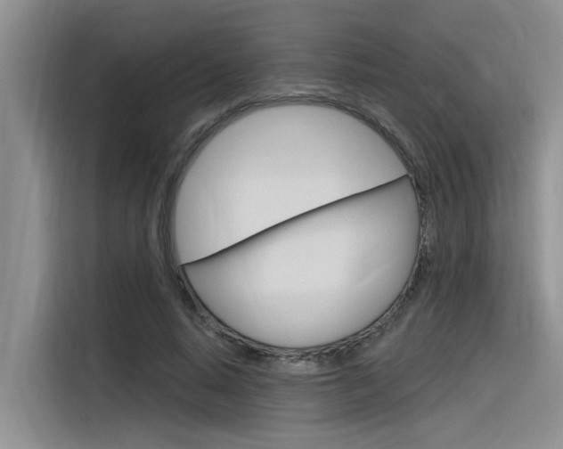 X0000116380640200912020946