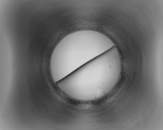 X0000116380642200912020946