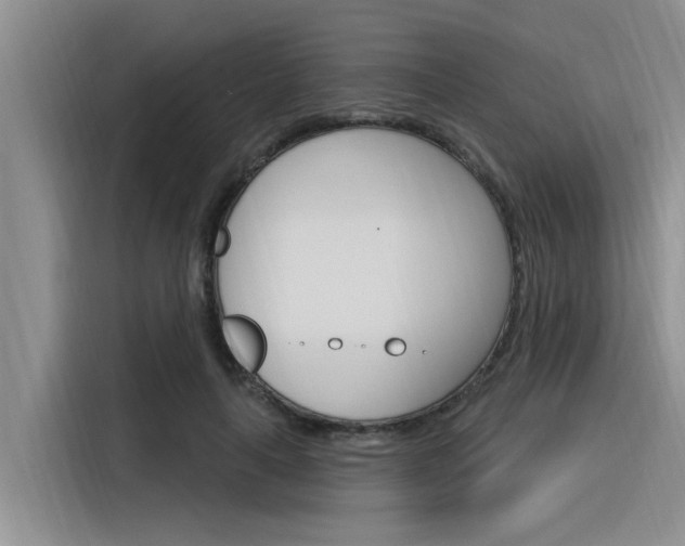 X0000116380643200912020946