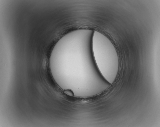 X0000116380647200912020946