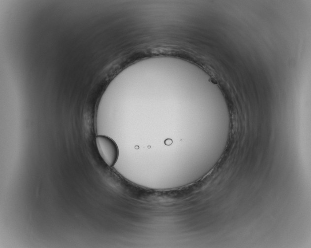 X0000116380648200912020947