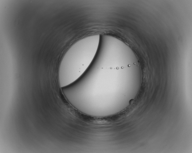 X0000116380650200912020947