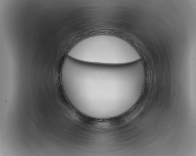 X0000116380653200912020947