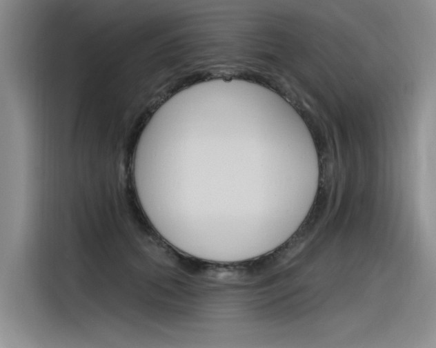 X0000116380655200912020947