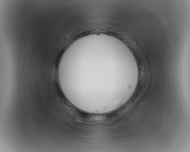 X0000116380659200912020947