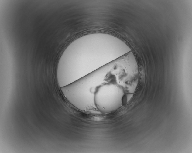X0000116380662200912020947