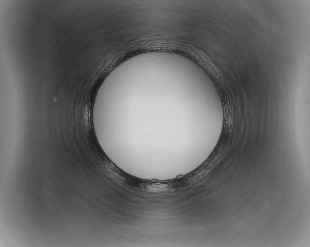 X0000116380669200912020947