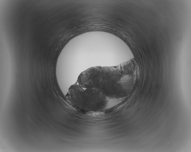 X0000116380670200912020947