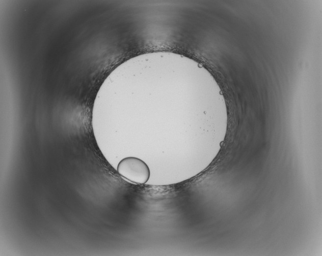 X0000116380672200912020947