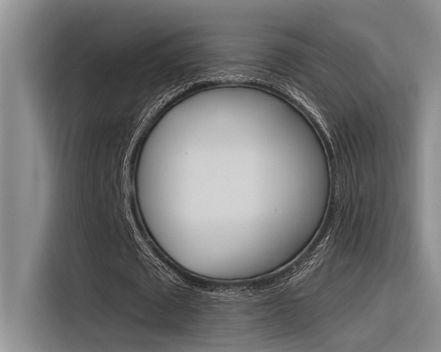 X0000116380673200912020946