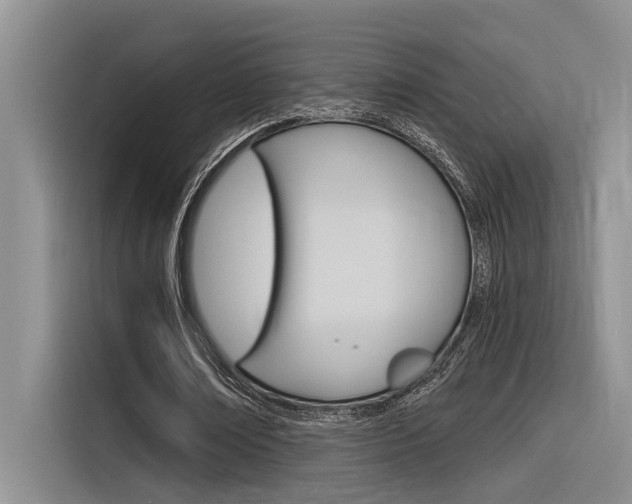 X0000116380674200912020946