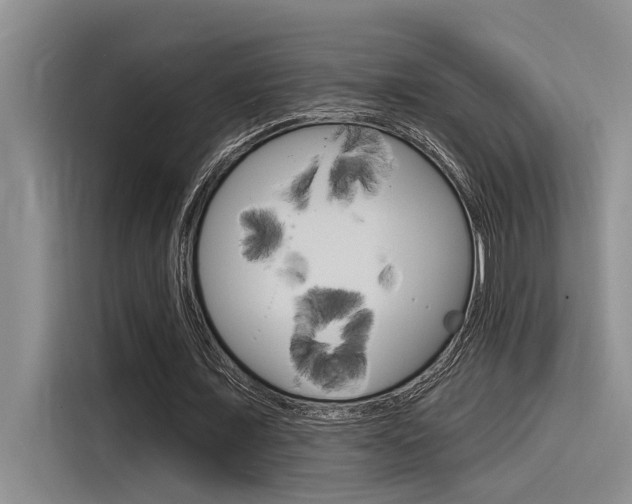 X0000116380675200912020946