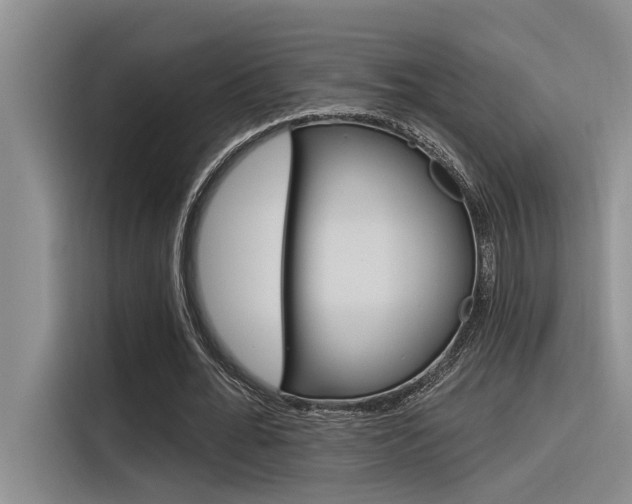 X0000116380676200912020946