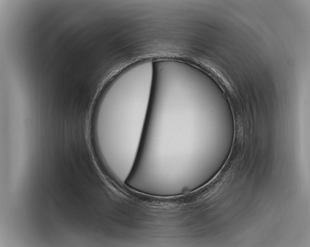 X0000116380677200912020946