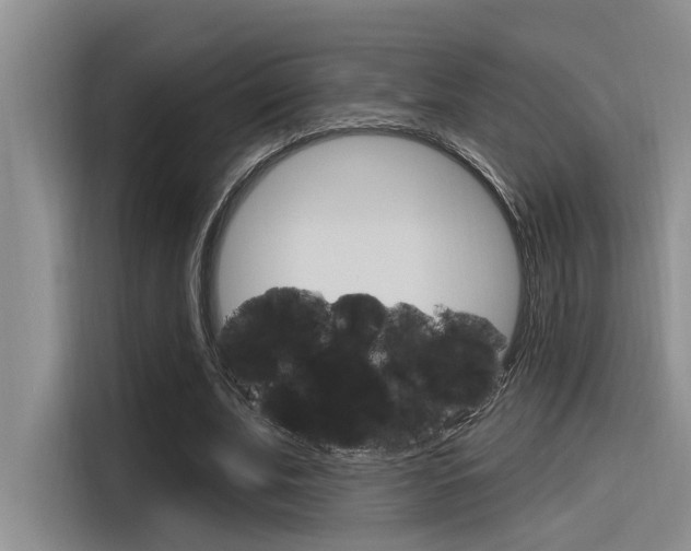 X0000116380679200912020946