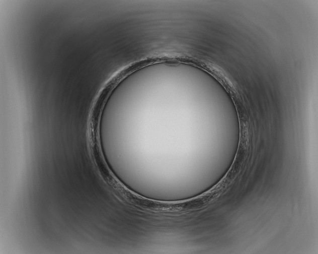 X0000116380680200912020946