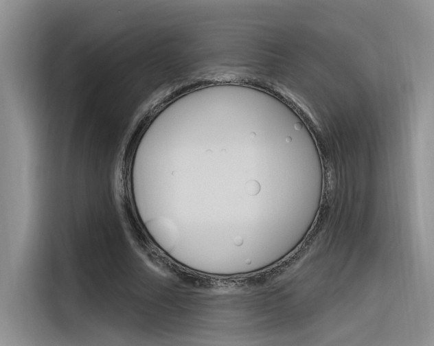 X0000116380682200912020946