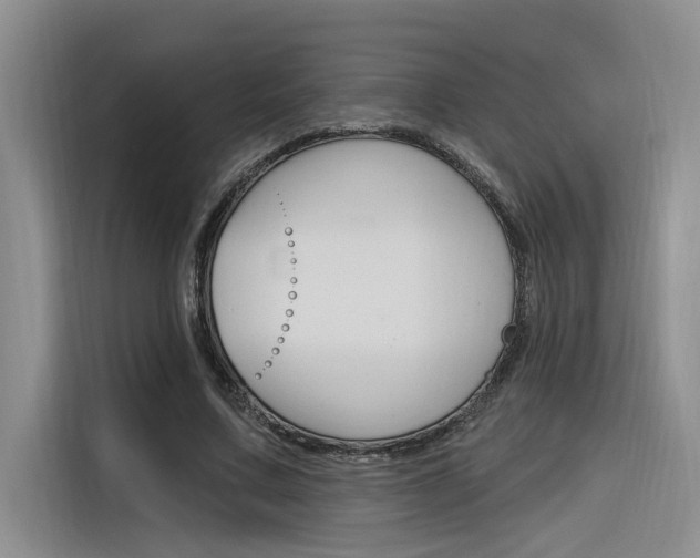X0000116380683200912020946
