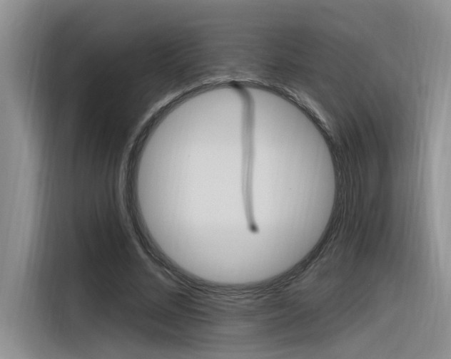 X0000116380684200912020946