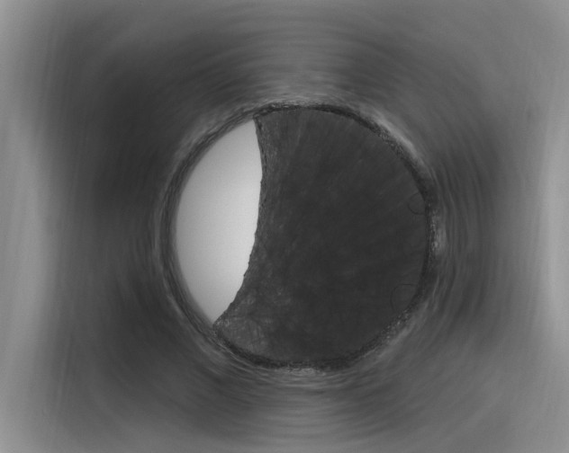X0000116380685200912020946
