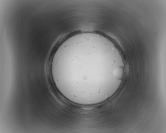 X0000116380686200912020946
