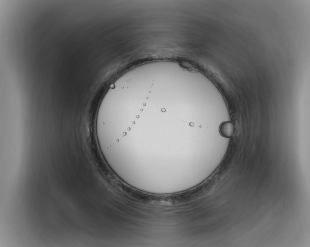 X0000116380687200912020946