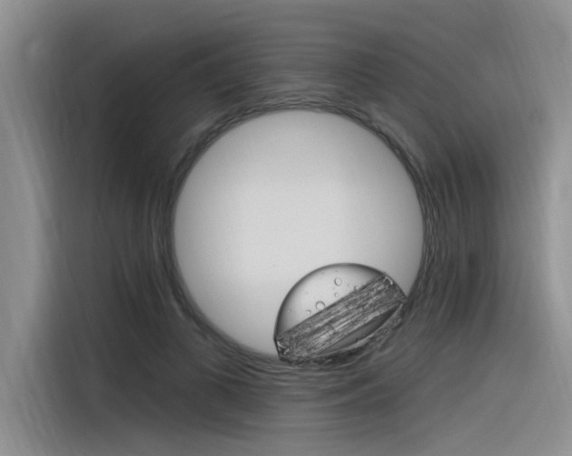X0000116380693200912020946