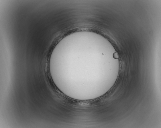 X0000116380694200912020946