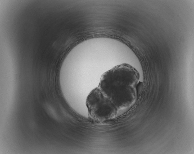 X0000116380695200912020946