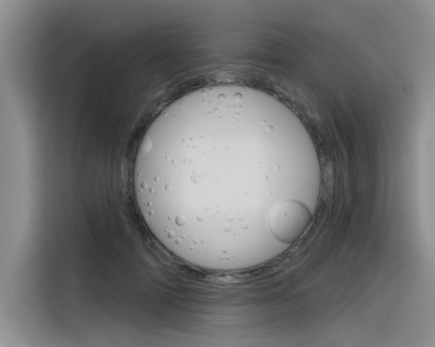 X0000116380698200912020946
