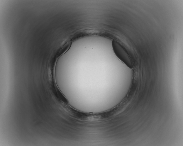 X0000116380700200912020946