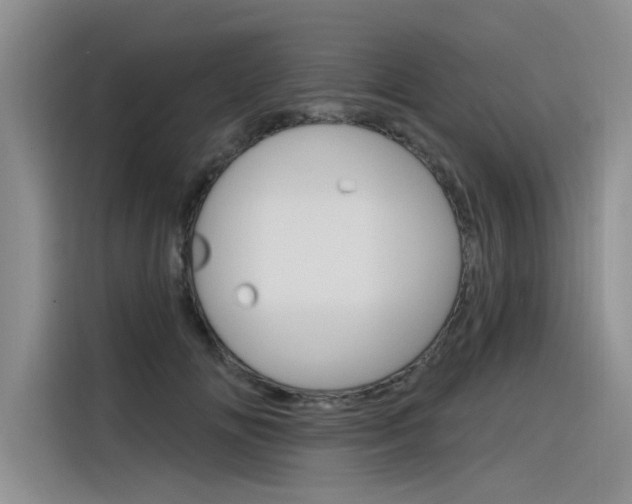 X0000116380702200912020946