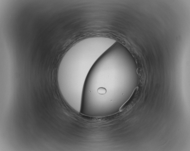 X0000116380704200912020946