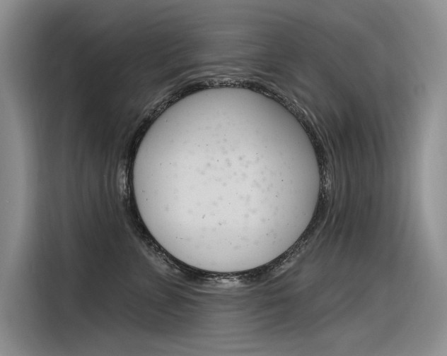 X0000116380715200912020946