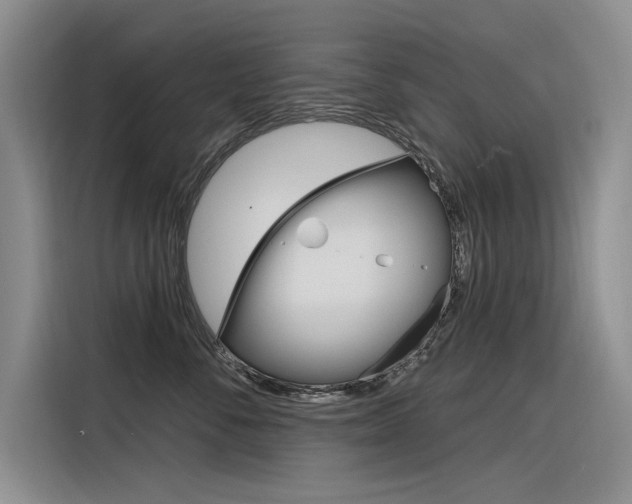 X0000116380716200912020946