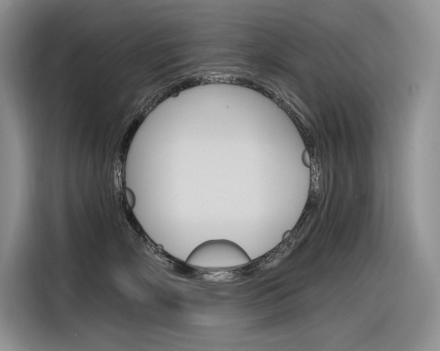 X0000116380718200912020946