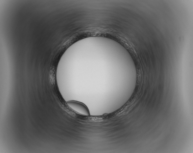 X0000116380719200912020946
