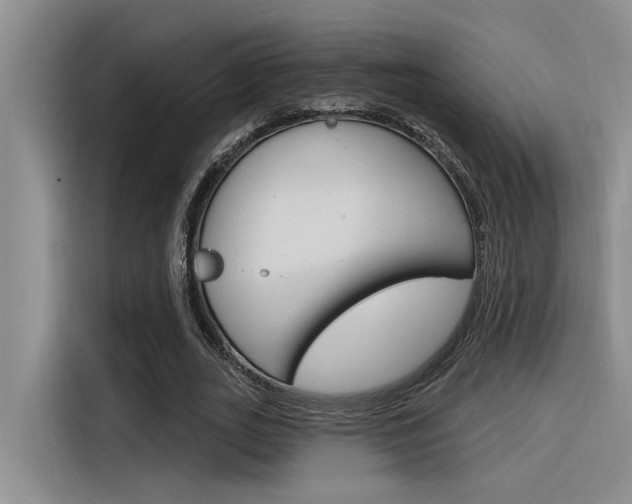 X0000116380727200912020945