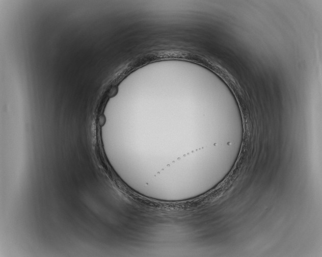 X0000116380729200912020945