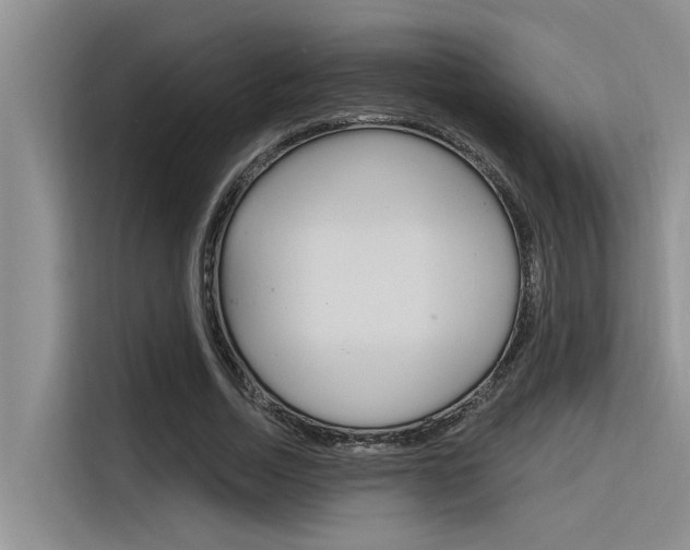 X0000116380730200912020945