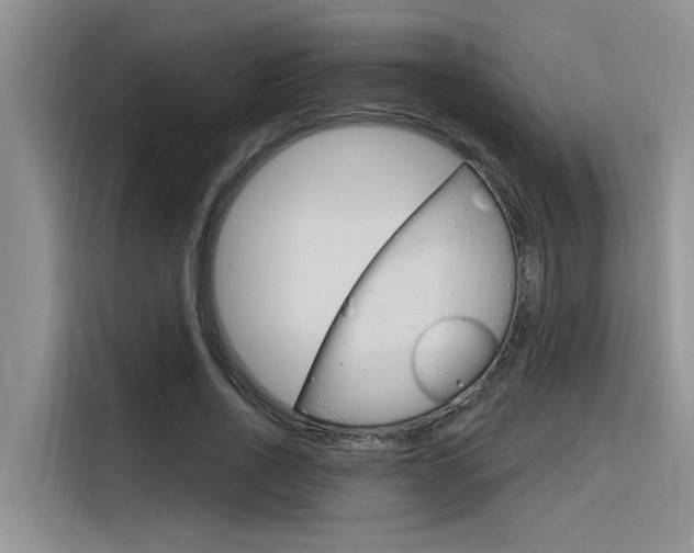 X0000116380734200912020945