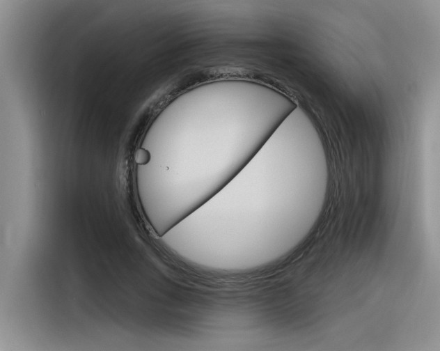 X0000116380735200912020945