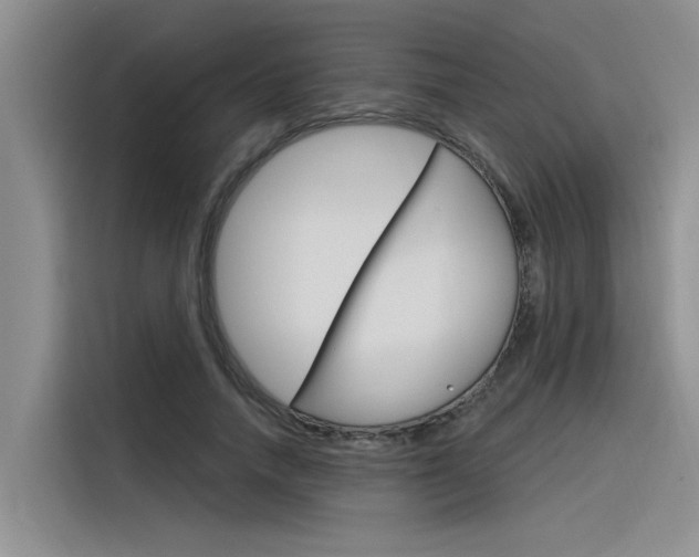 X0000116380738200912020945