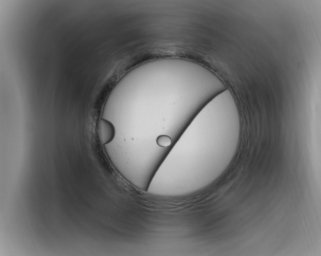 X0000116380739200912020945