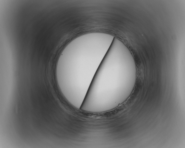 X0000116380742200912020945