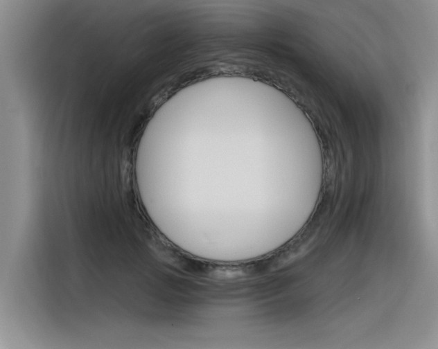 X0000116380749200912020945