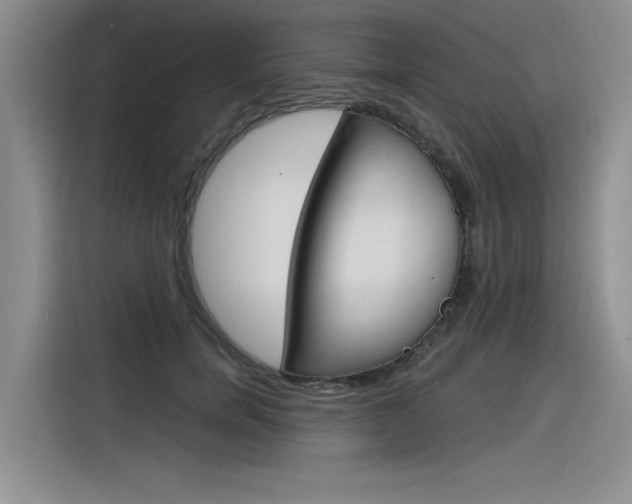 X0000116380750200912020945